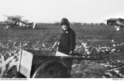 Henri Heremene bei der Jagd auf Ratten am Butzweilerhof.