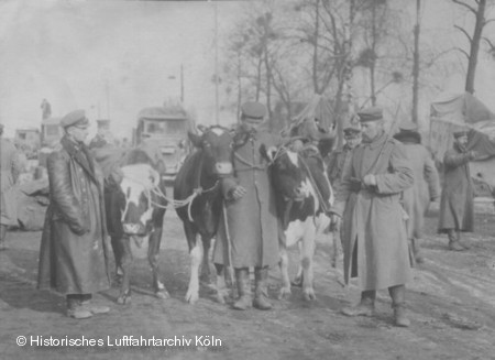 Fleischversorgung