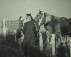 Film 2. Weltkrieg Niederlande Rotterdam