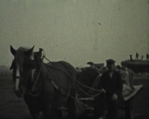 Film 2. Weltkrieg Texel 