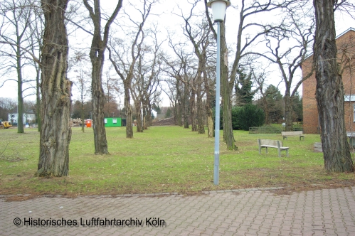 der Robinienhain am Butzweilerhof, gepflanzt als Entree für den Flughafen Köln Butzweilerhof 1936