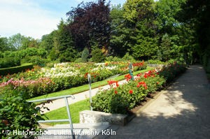 Rosengarten in Fort X